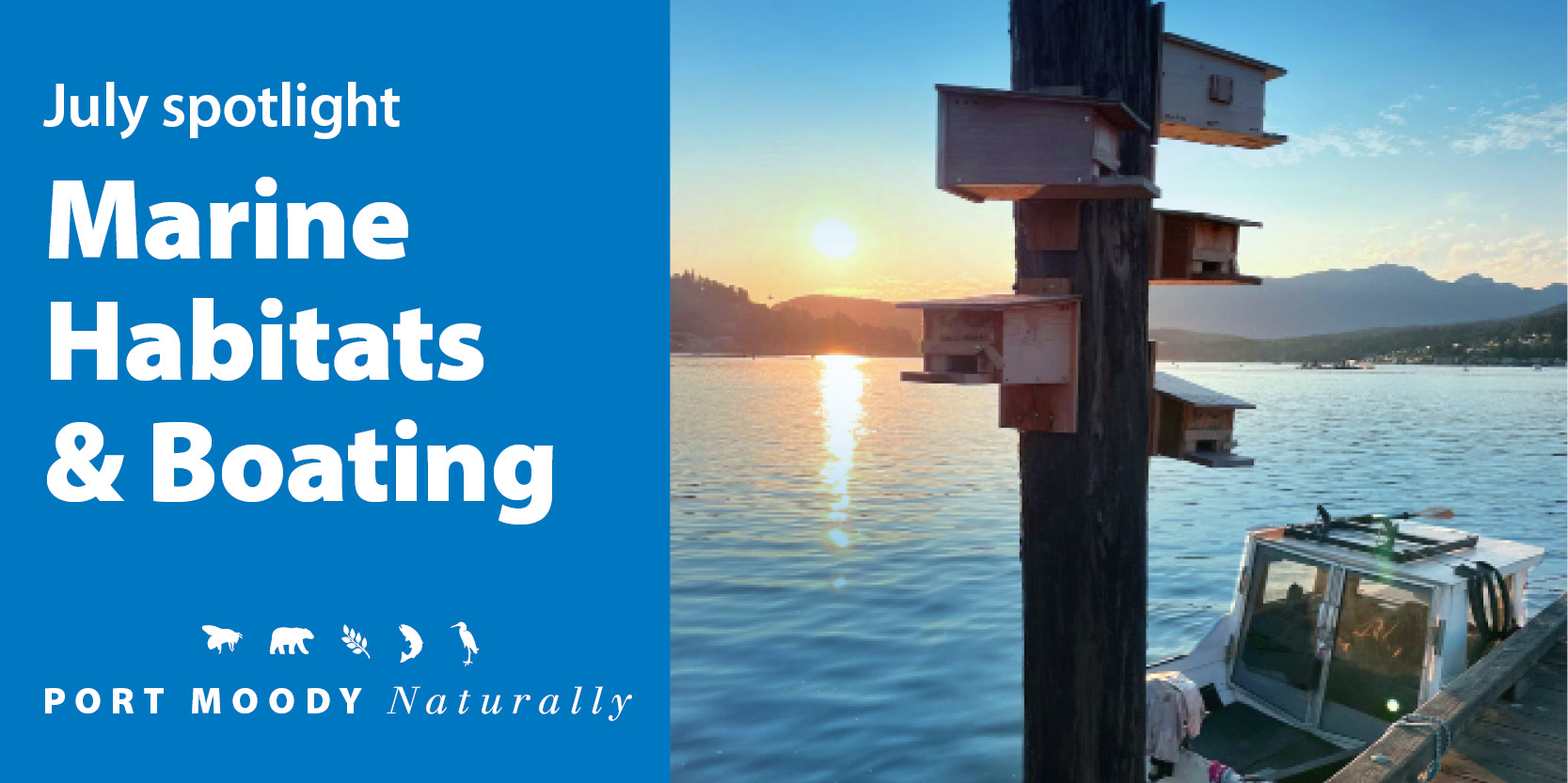 Marine Habitats and Boating